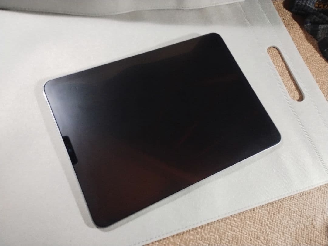 iPad Pro 11 M1 容量1TB Apple Pencil 第2世代