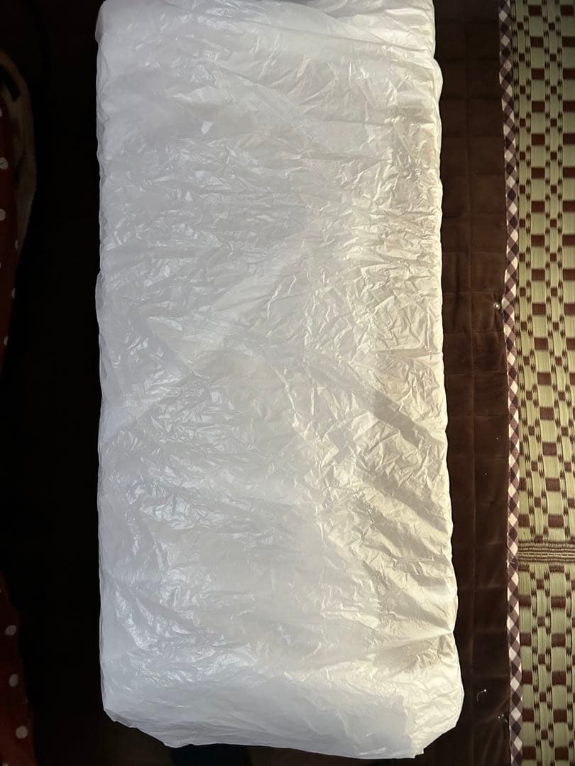 ➡️新品未使用 アイリスオーヤマ スチームクリーナー ホワイト STM-410E