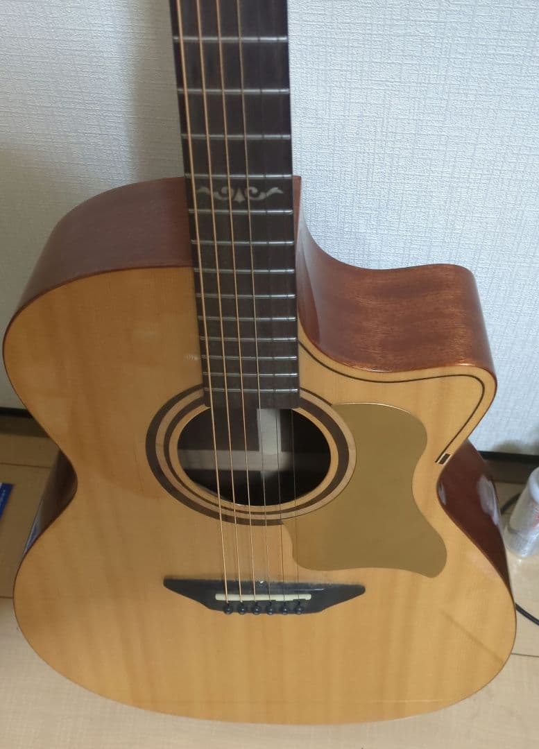 ギター DCT G-311 CE