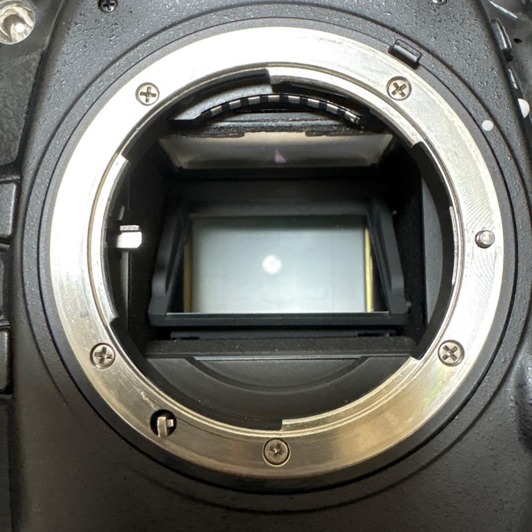 【レンズ付き】Nikon D800 デジタル一眼レフカメラ 付属品付き