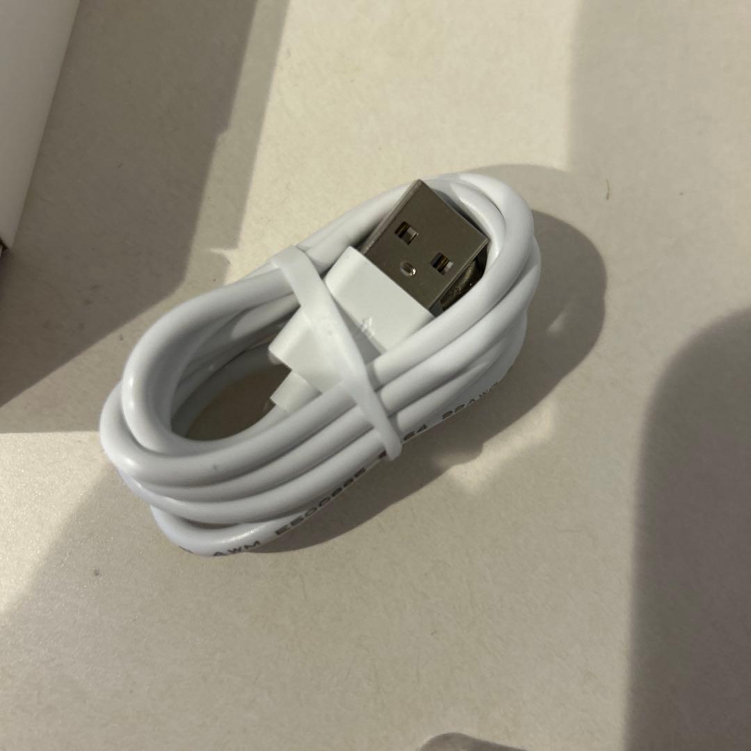 【新品】SALONIA EMS LIFT BRUSH ピンク