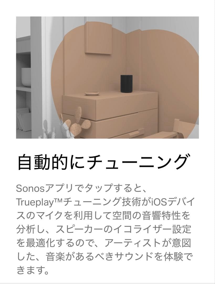 ✨極美品✨SONOS Era100 スマートスピーカー ソノス