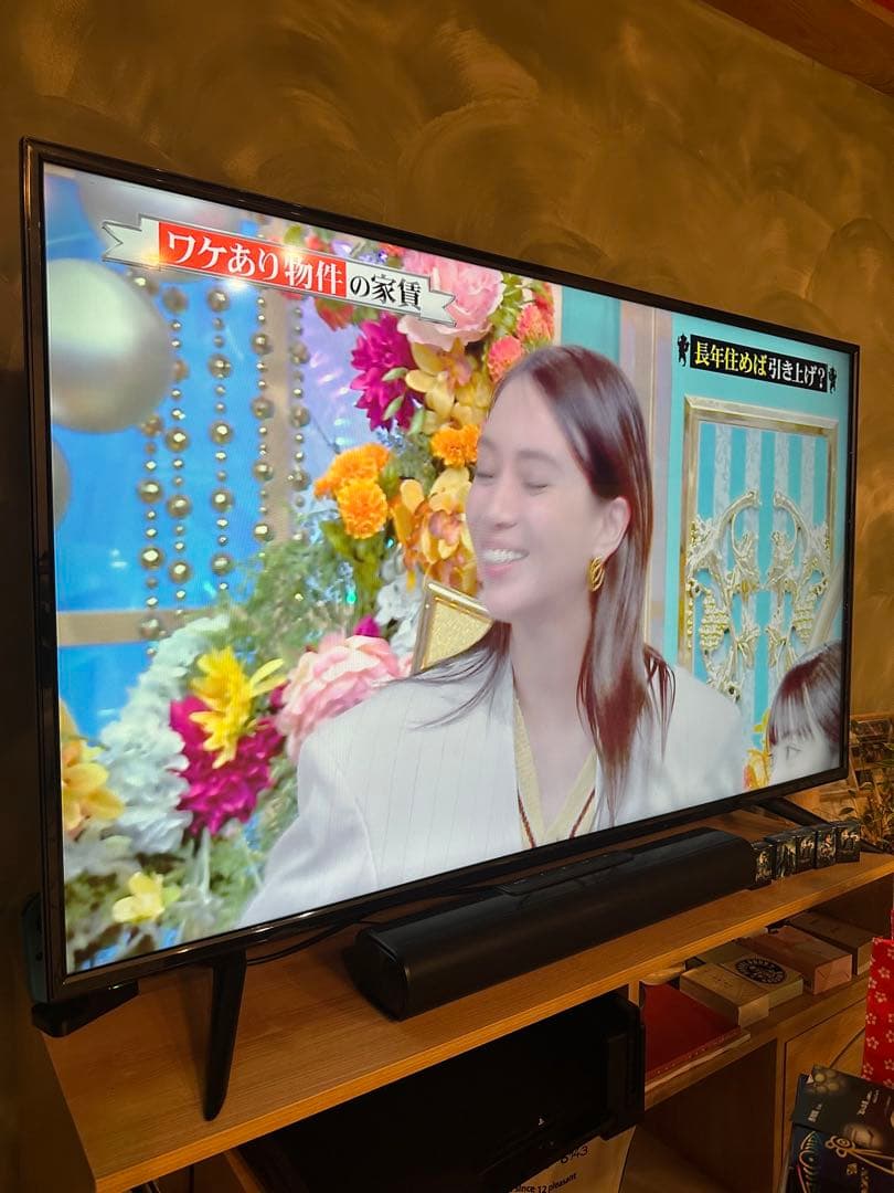 あずき　50V型デジタルフルハイビジョンLEDテレビ HET-S031W