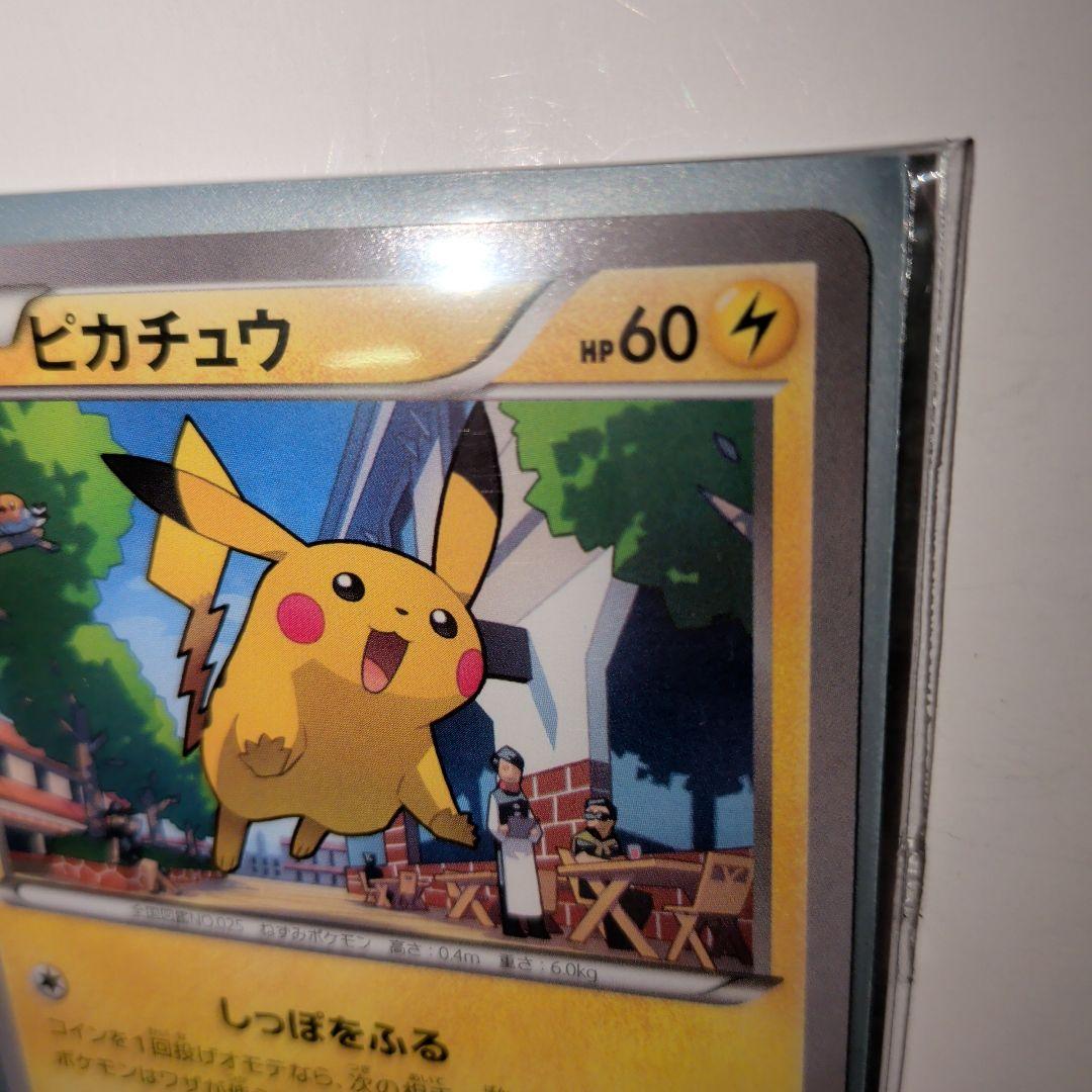 ピカチュウ プロモ 064/XY-P +4種 全5種類