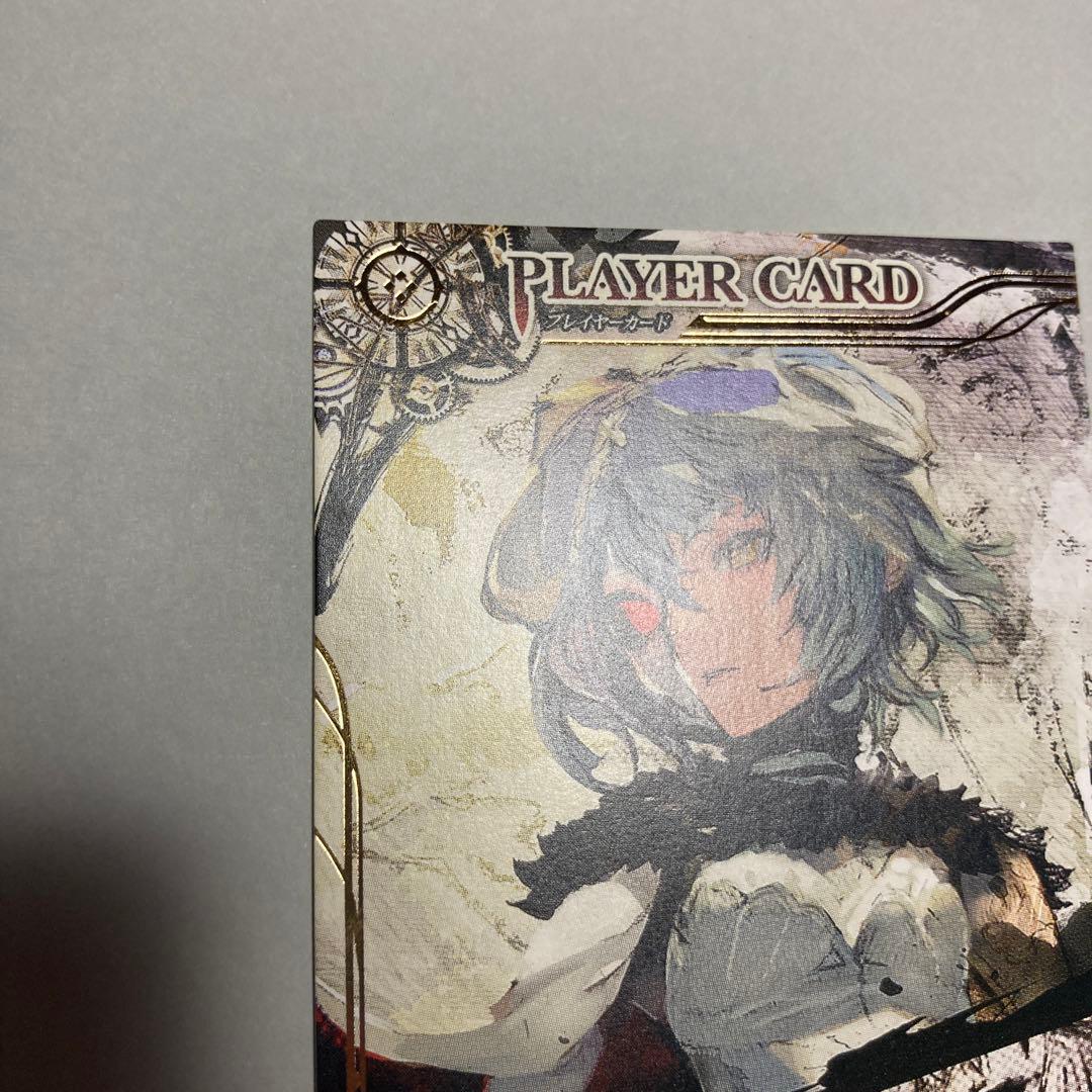 あず　　ロードオブヴァーミリオン テレーゼ プレイヤーカード　タッグ大会