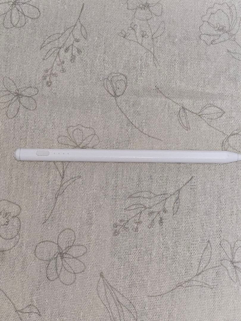 Apple iPad Pro　11インチ512GB　Cellularモデル美品