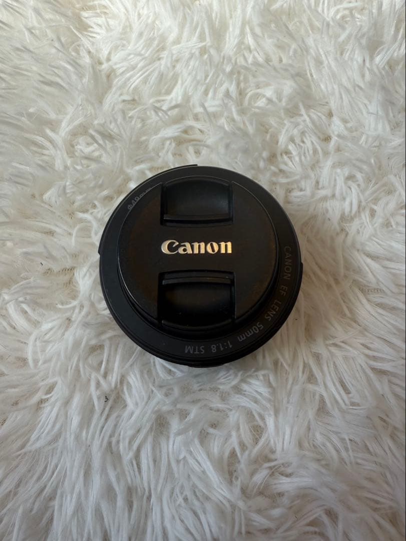 レンズ(単焦点) MS