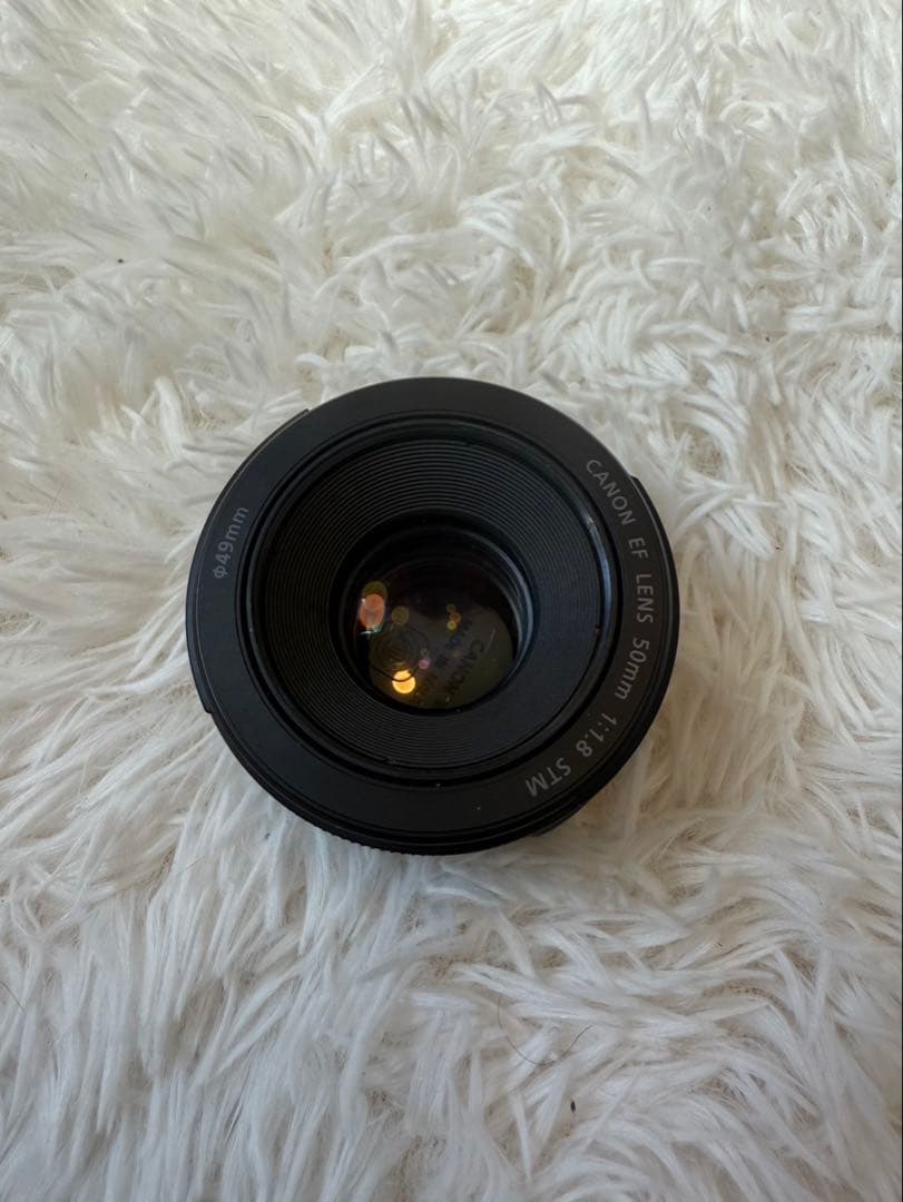 レンズ(単焦点) MS