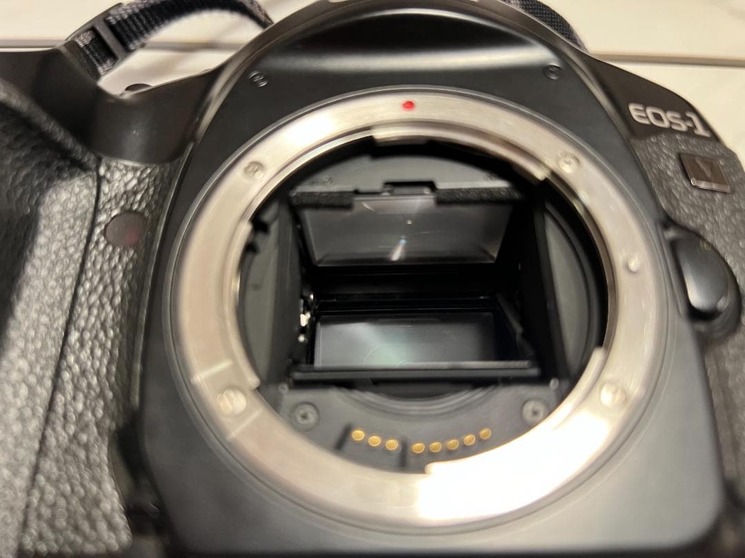 Canon キヤノン EOS-1V ボディ