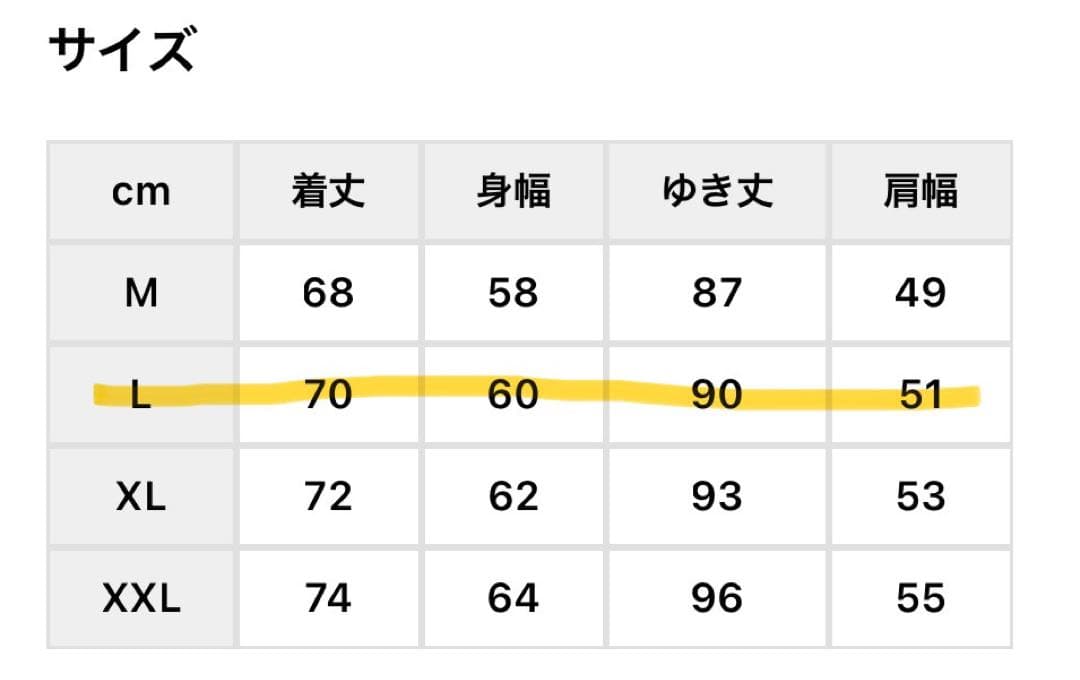 お値下げ　THE NORTH FACE アウトドアジャケット　L 美品