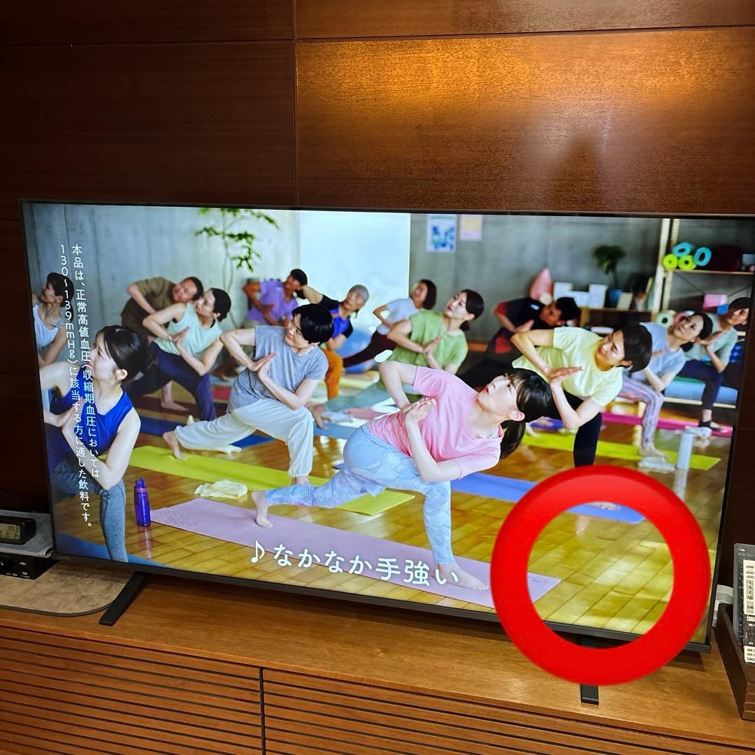 REGZA レグザ テレビ 65E350R 2025年モデル