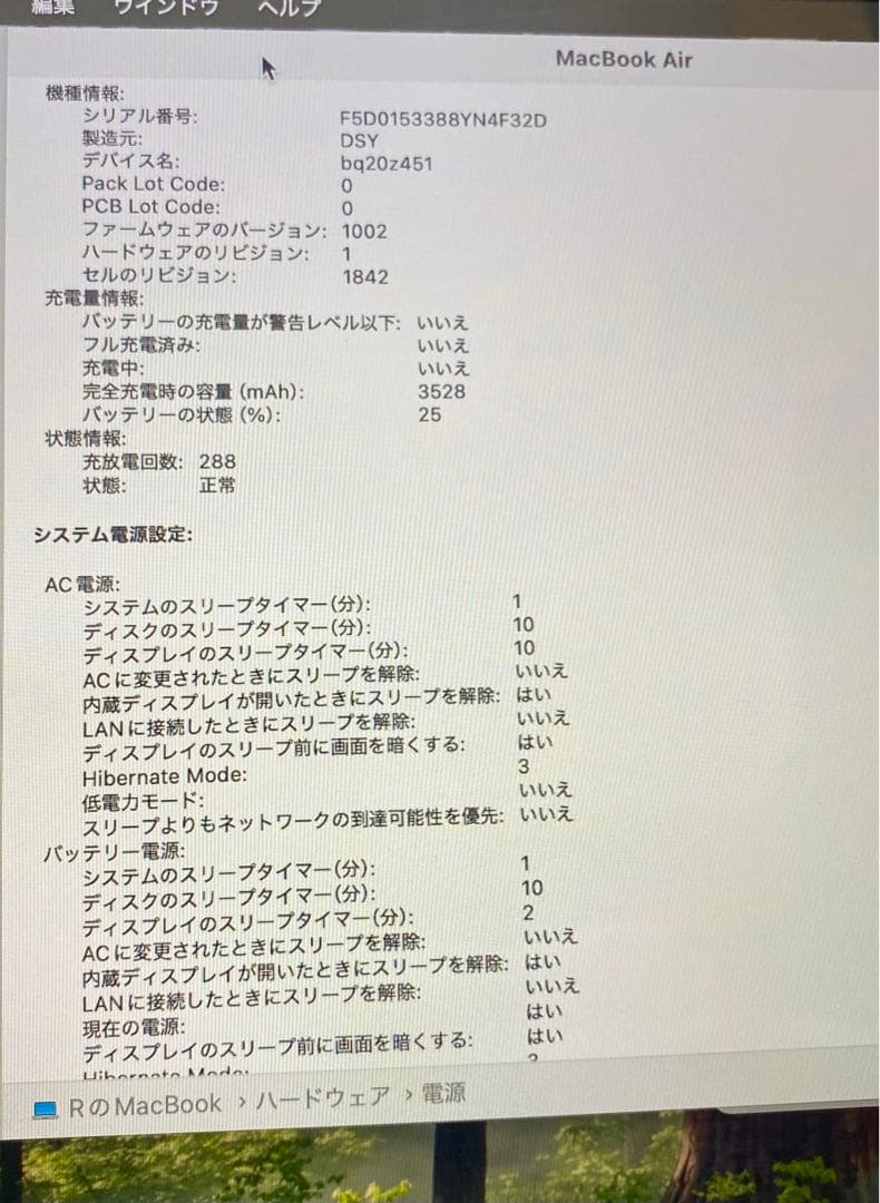 MacBook本体 pelare