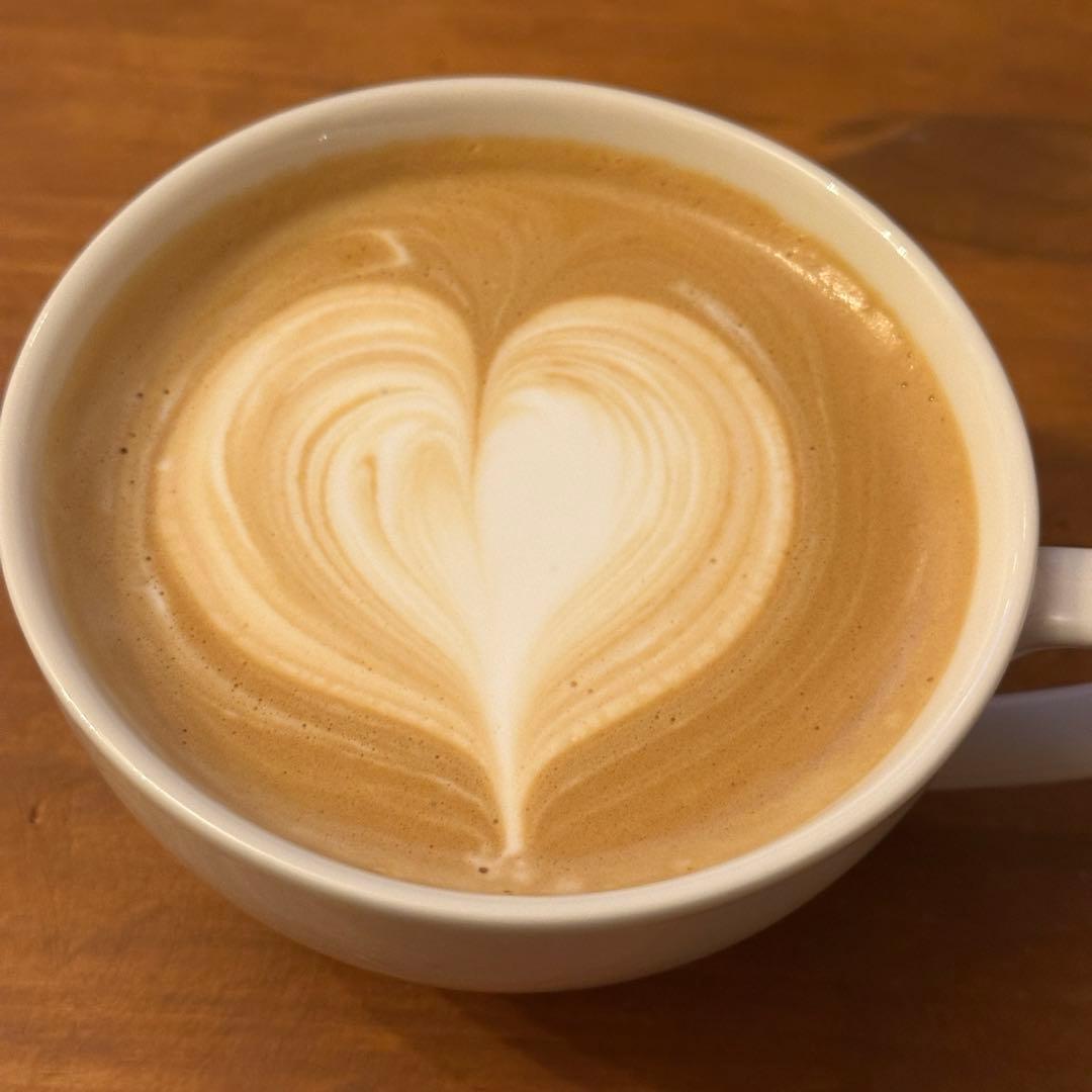 STARESSO SP-300 ＋ NanoFoamerリチウム