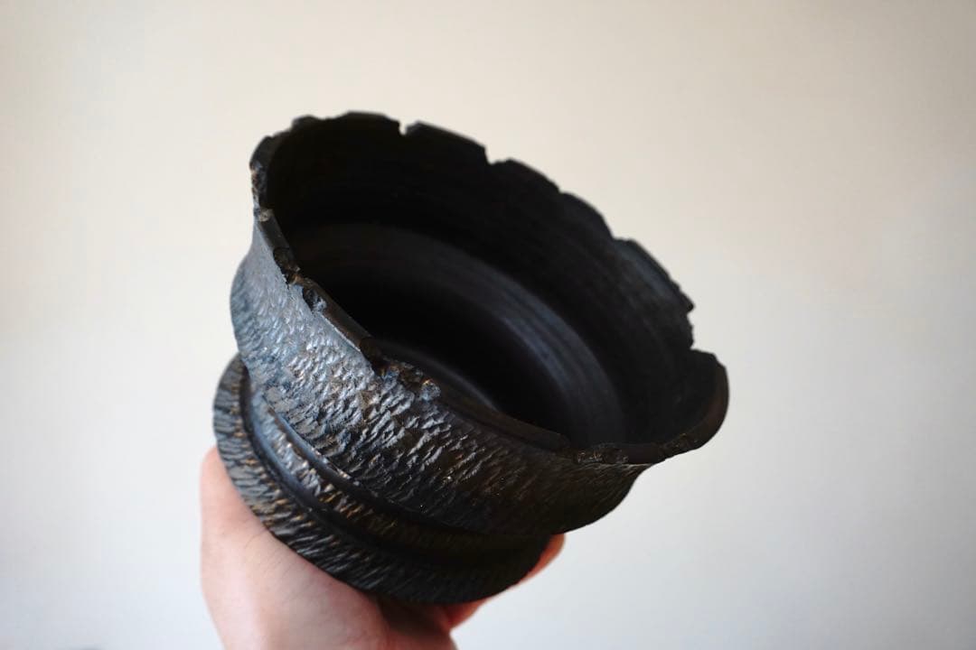 GOUJIN 鉢 KUROKIN BOTANIZE ボタナイズ