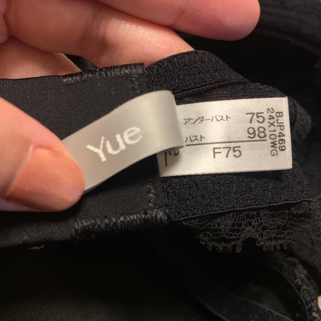 ワコールYue ブラ・Tショーツセット F75/M