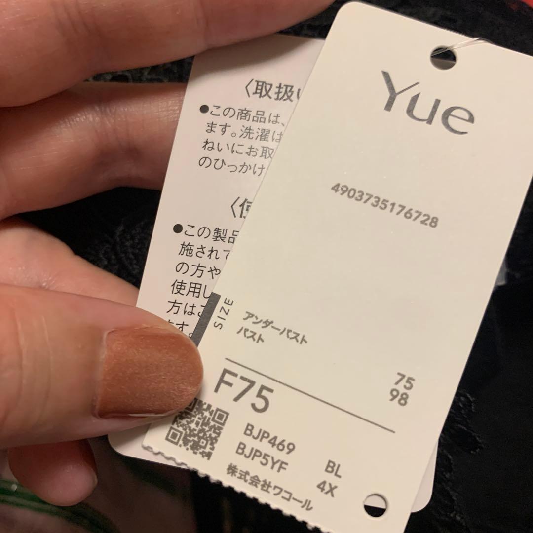 ワコールYue ブラ・Tショーツセット F75/M