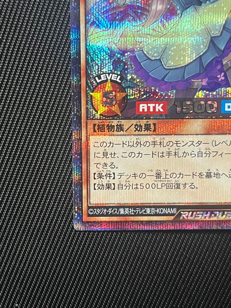 遊戯王　ラッシュデュエル　エクスキューティー　プラウティ　シークレットレア