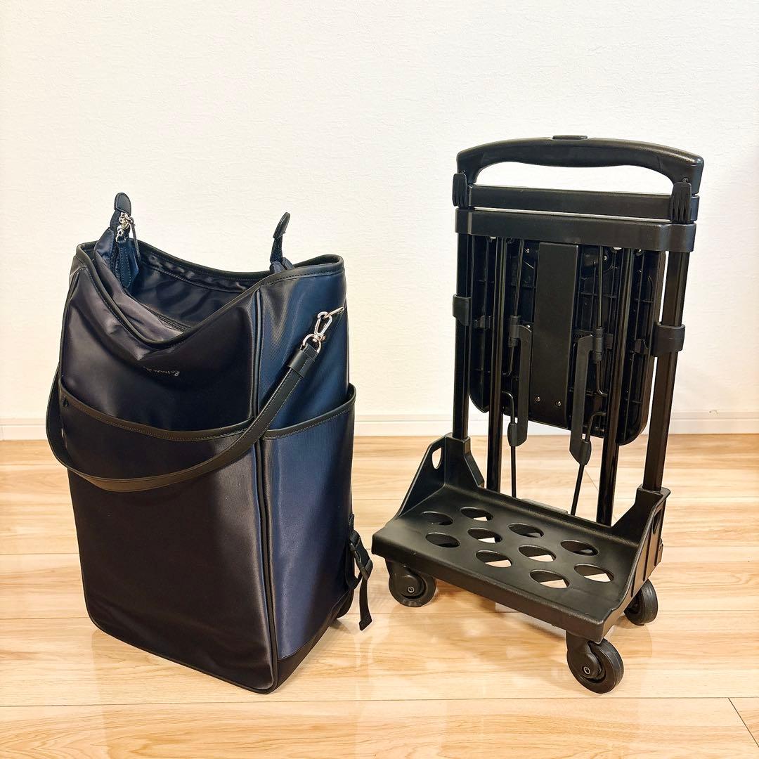 ✨極美品✨ スワニー D-202 ミルダ Mサイズ 19L 座れるキャリーバッグ