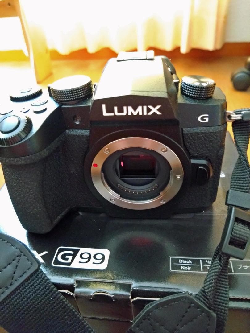 LUMIX DC-G99 ボディ　ブラック　（ほとんど未使用美品）