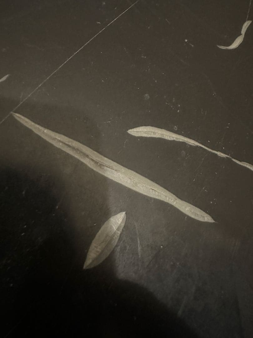 オフトレ用 SALOMON スノーボード 127 BURTON ビンディング