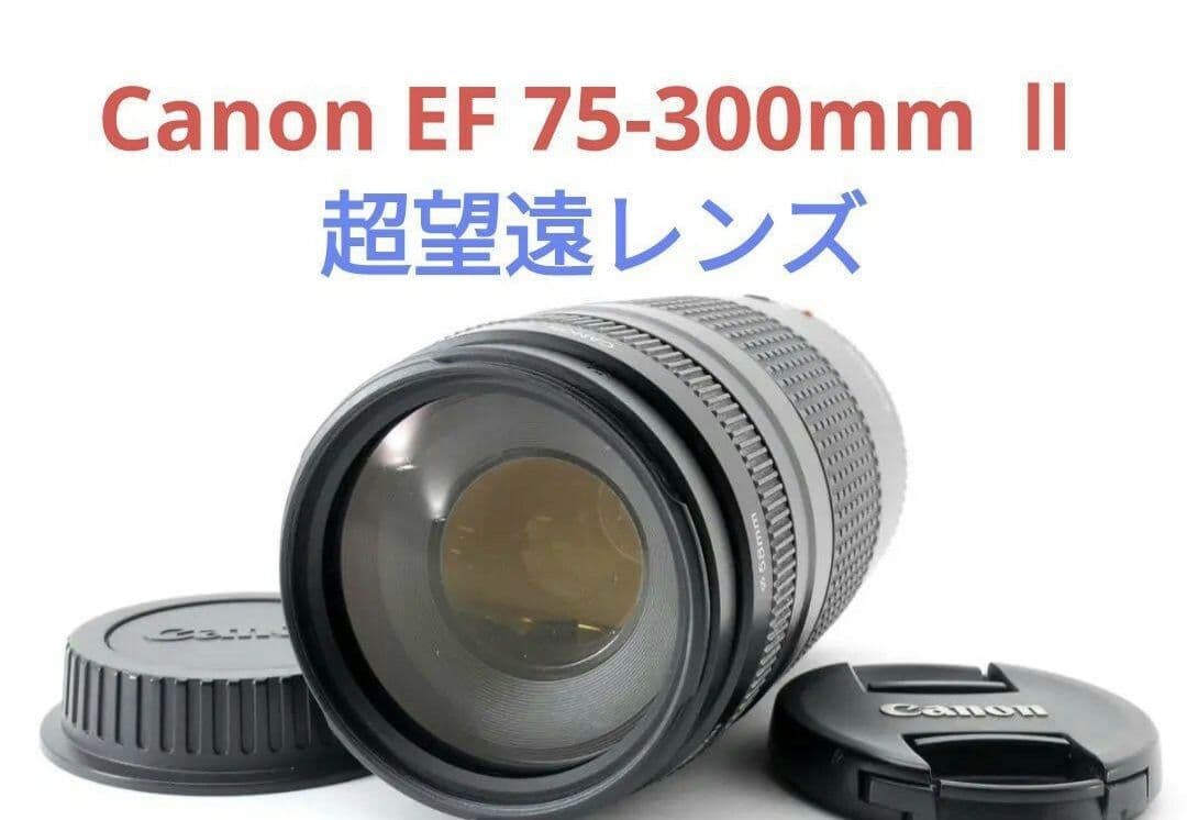 2月13日限定特価♪【超望遠レンズ】Canon EF 75-300mm Ⅱ