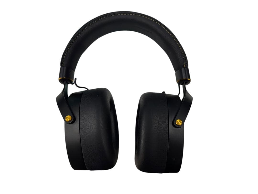 AVIOT WA-Z1PNK ピエール中野コラボモデル ピッドホン