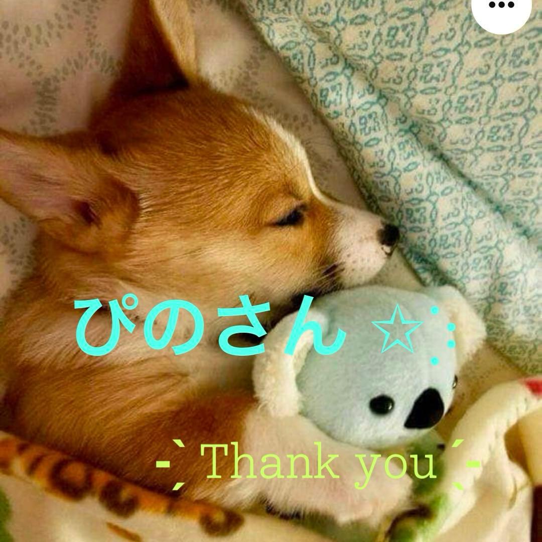 ぴのさん おまとめページ✩⡱