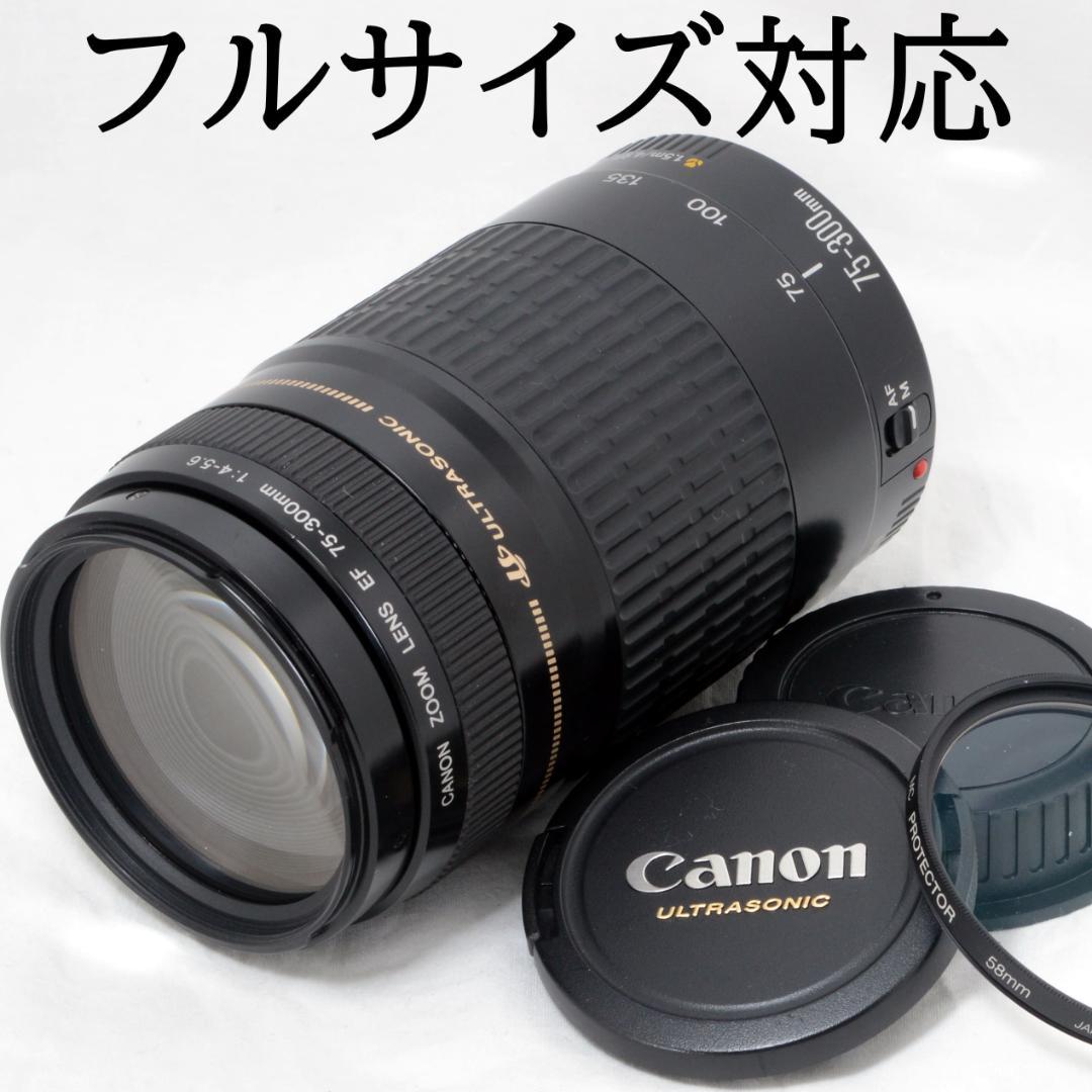 ★良品★Canon キャノン EF 75-300mm F4-5.6 USM