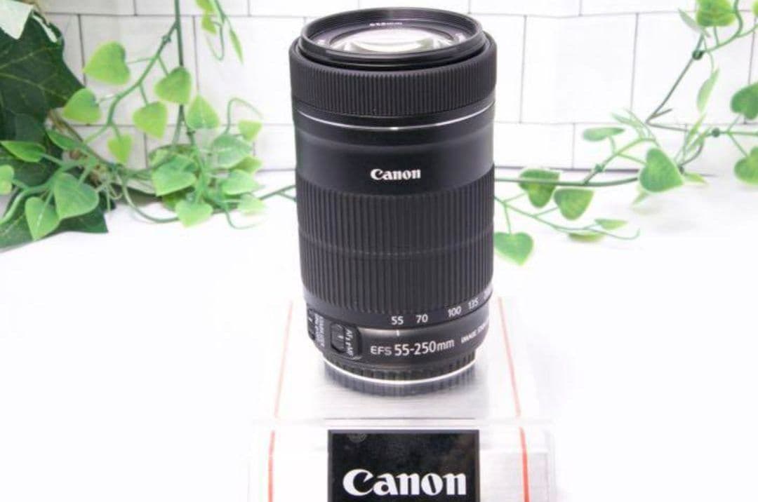 2月13日限定【望遠レンズ】Canon EF-S 55-250mm IS STM