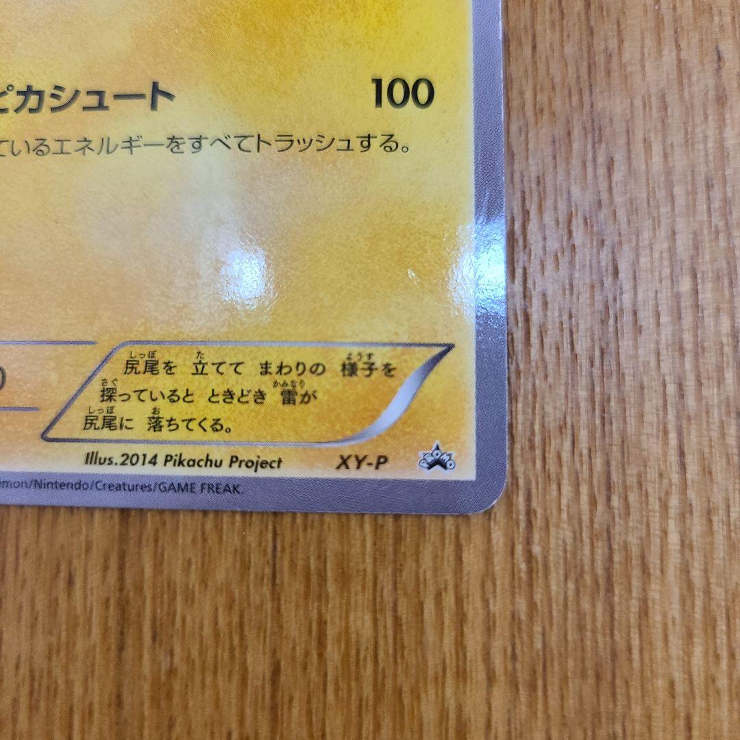 XY-P ピッチのピカチュウ_Jリーグ「ファミリー Joinデイズ」 白かけあり