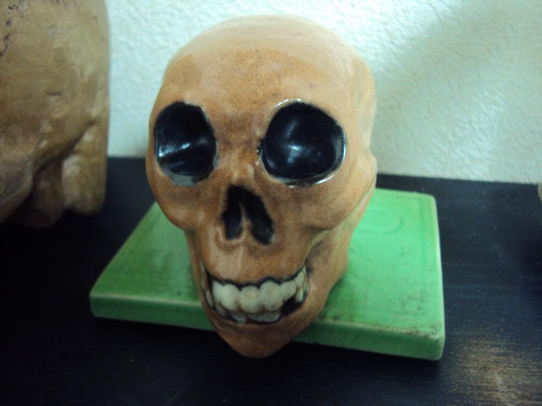 ビンテージ　スカル　ドクロ　骸骨　頭蓋骨