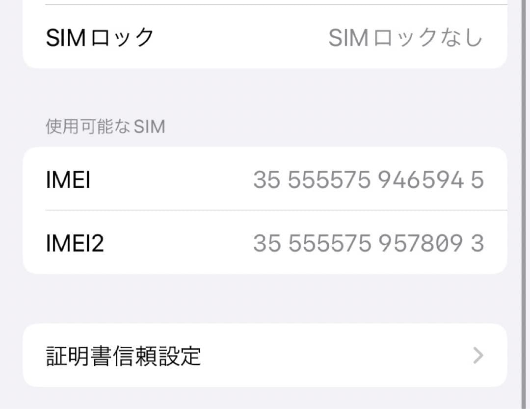 iPhone se ジャンク品　本体