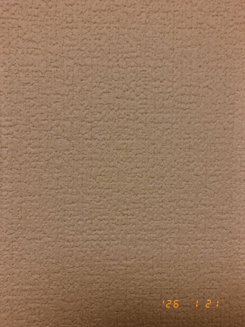 【美品】【値下げ交渉不可】Fujifilm Xhalf シルバー、おまけ付き