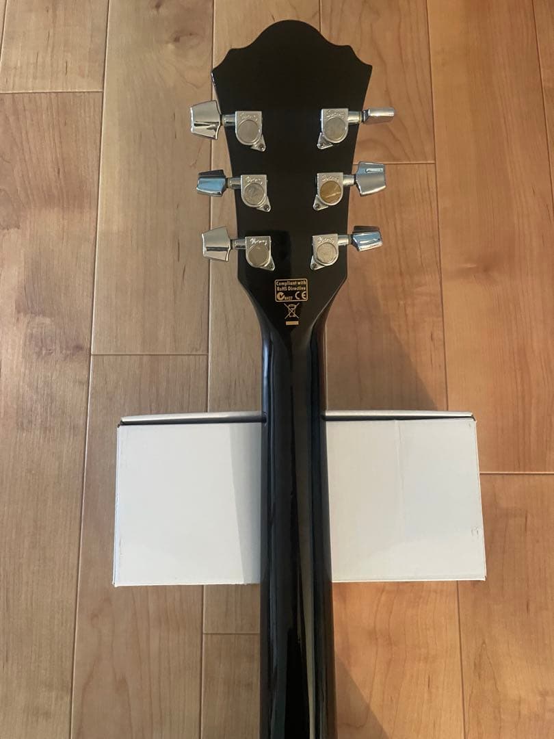 【希少】Ibanezアイバニーズ エレアコ純正ギグケース付アコースティ