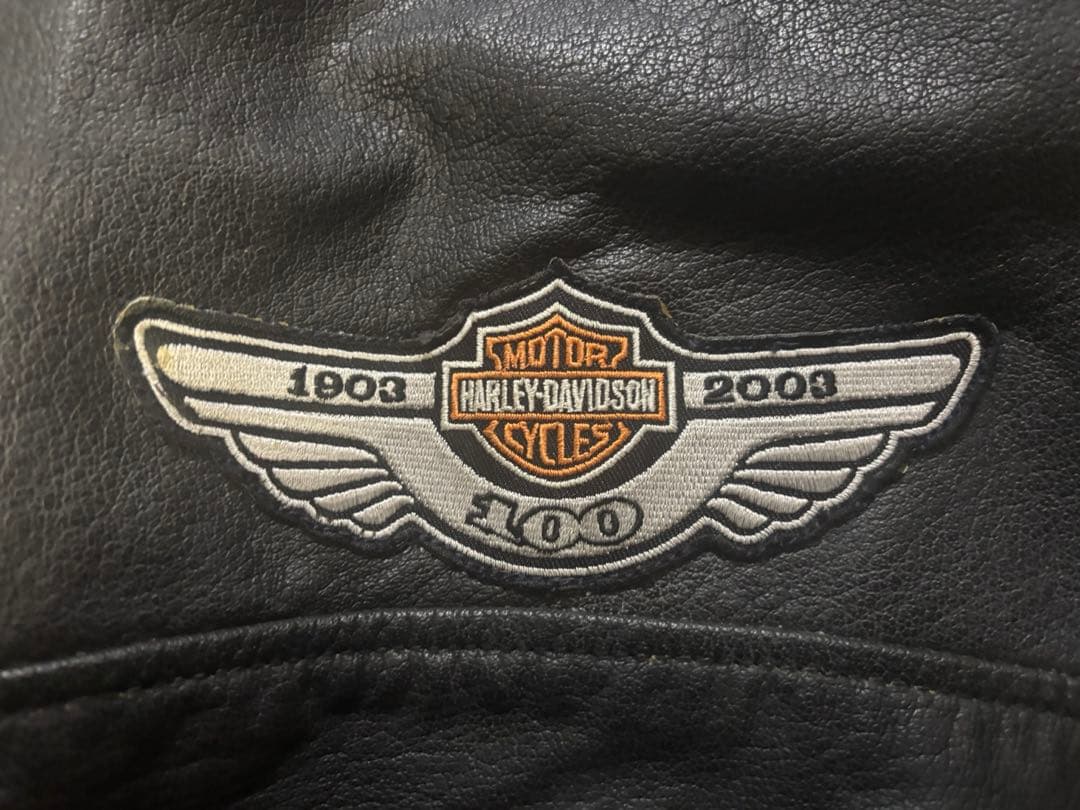 （送料込）ハーレーダヴィッドソン シングルライダース