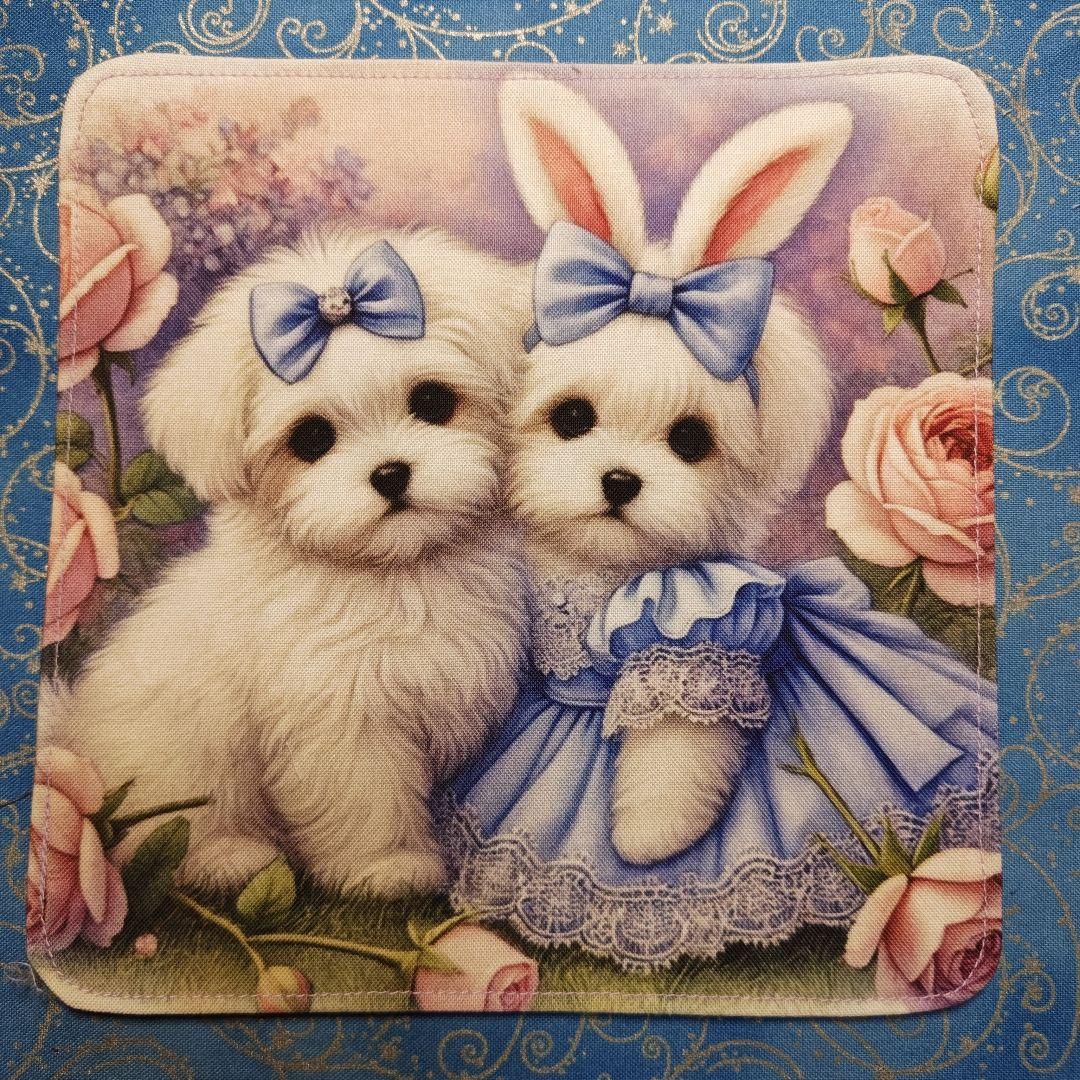 りあ　ハンカチ12枚 パネル22枚　マルチーズちゃん柄　34枚