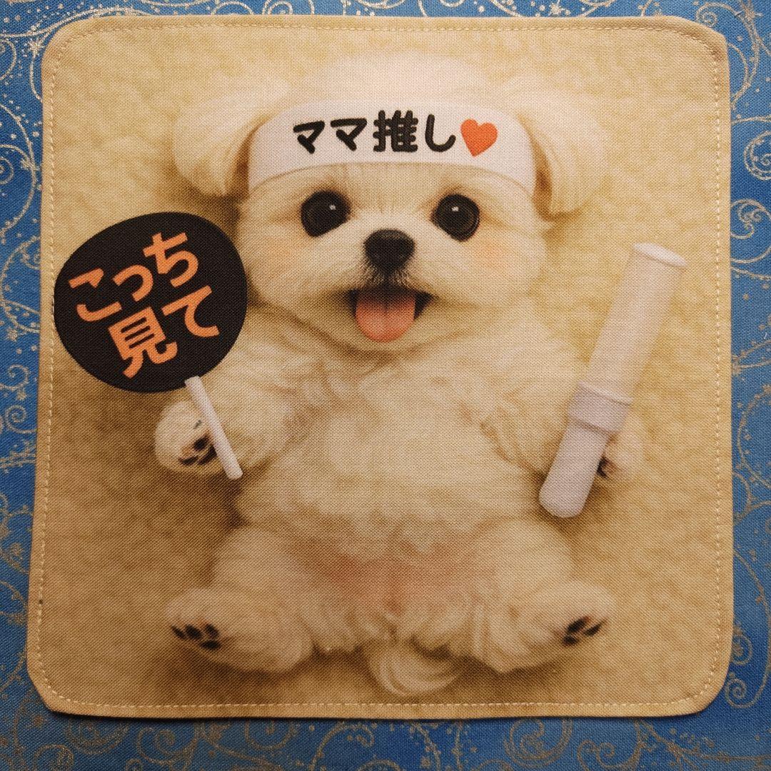 りあ　ハンカチ12枚 パネル22枚　マルチーズちゃん柄　34枚