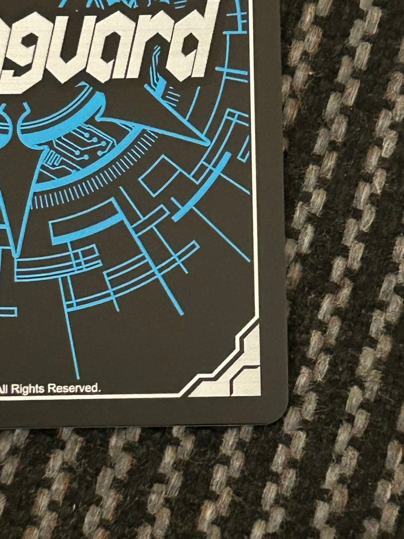 ヴァンガード 聖なる時の運命者 リィエル ゠ ドラコニス DSR