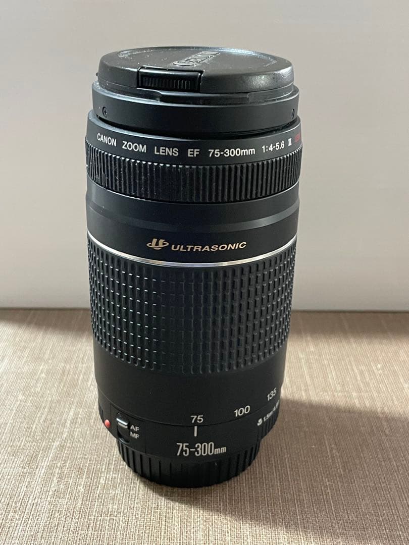 【撮影テスト済み美品】キヤノン75-300mm f/4-5.6 III ＵＳＭ