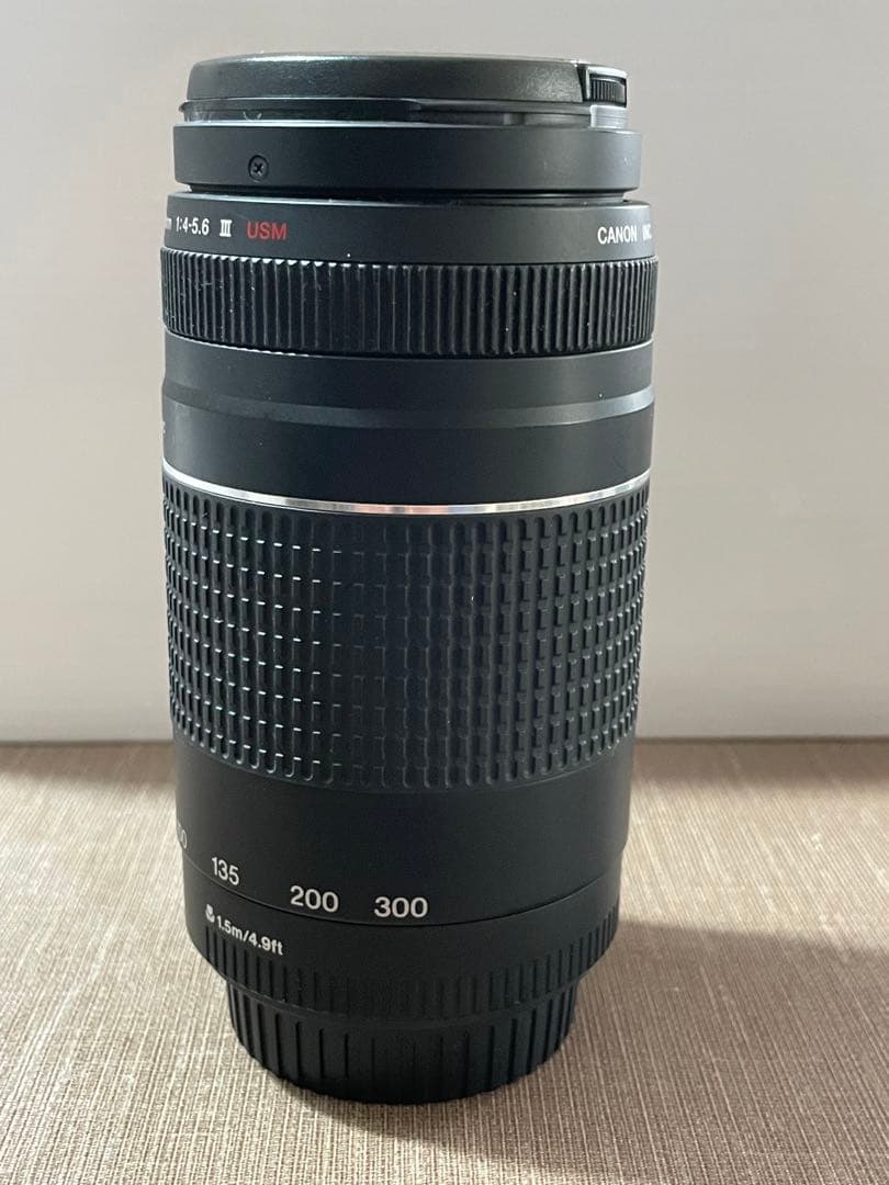 【撮影テスト済み美品】キヤノン75-300mm f/4-5.6 III ＵＳＭ
