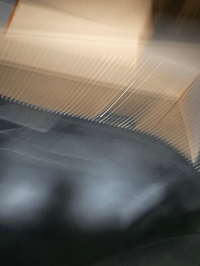 ルイ・ヴィトン ブラック トートバッグ