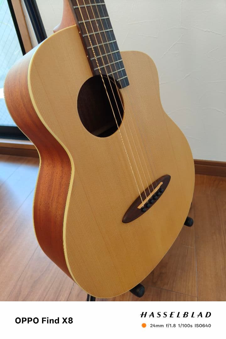 アヌエヌエ aNueNue Bird Guitar aNN-M1