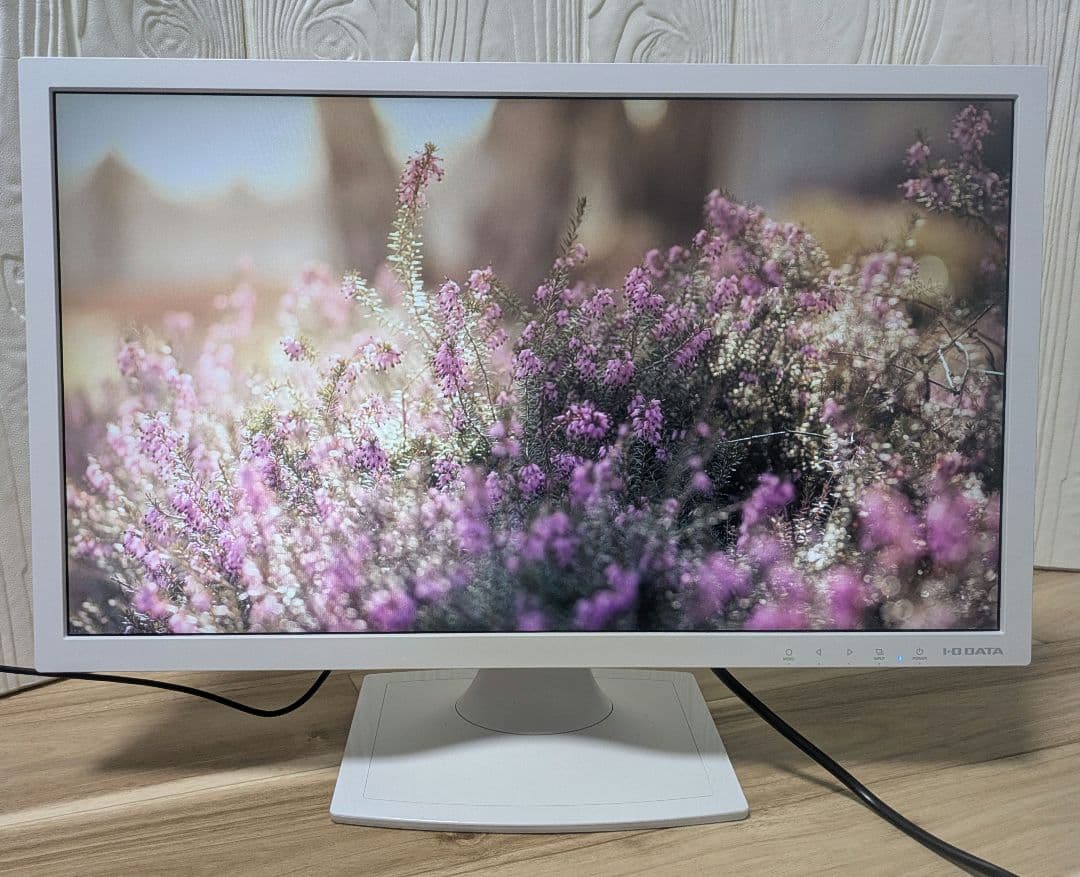 ♣ I・O DATA アイ・オー・データ モニター ◎おまけ付