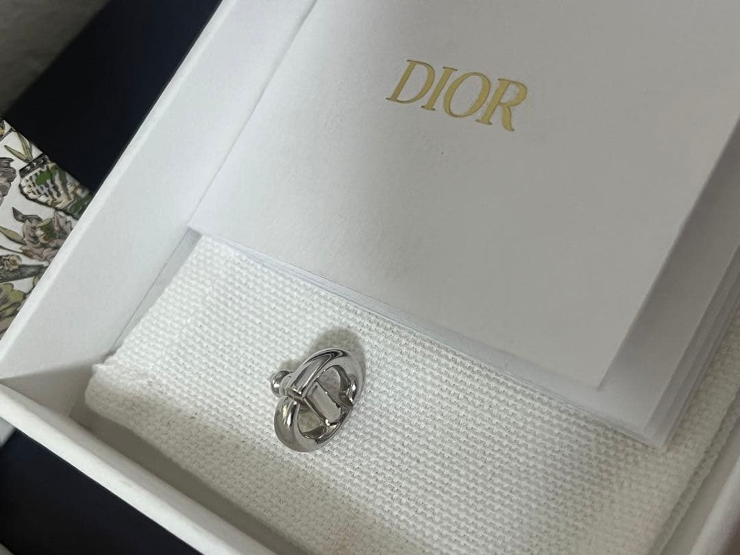 Dior ピアス　E1594 CDNMHT-D000