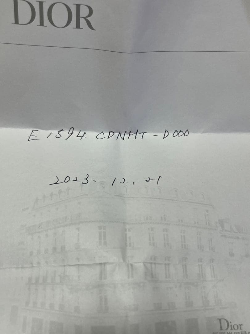 Dior ピアス　E1594 CDNMHT-D000