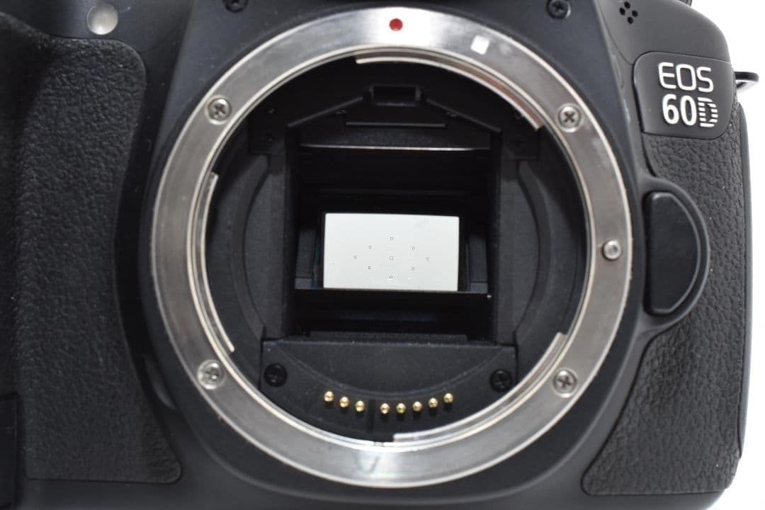 ショット数少✨迫力の超望遠✨Canon EOS 60D✨ダブルレンズ 一眼レフ