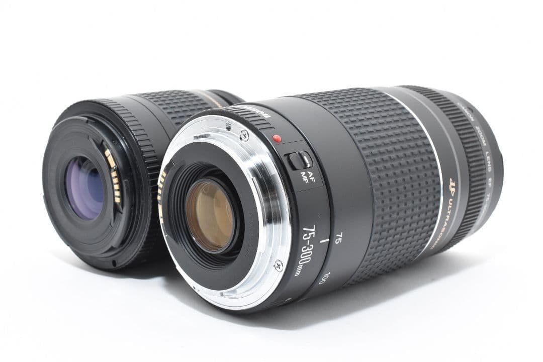 ショット数少✨迫力の超望遠✨Canon EOS 60D✨ダブルレンズ 一眼レフ