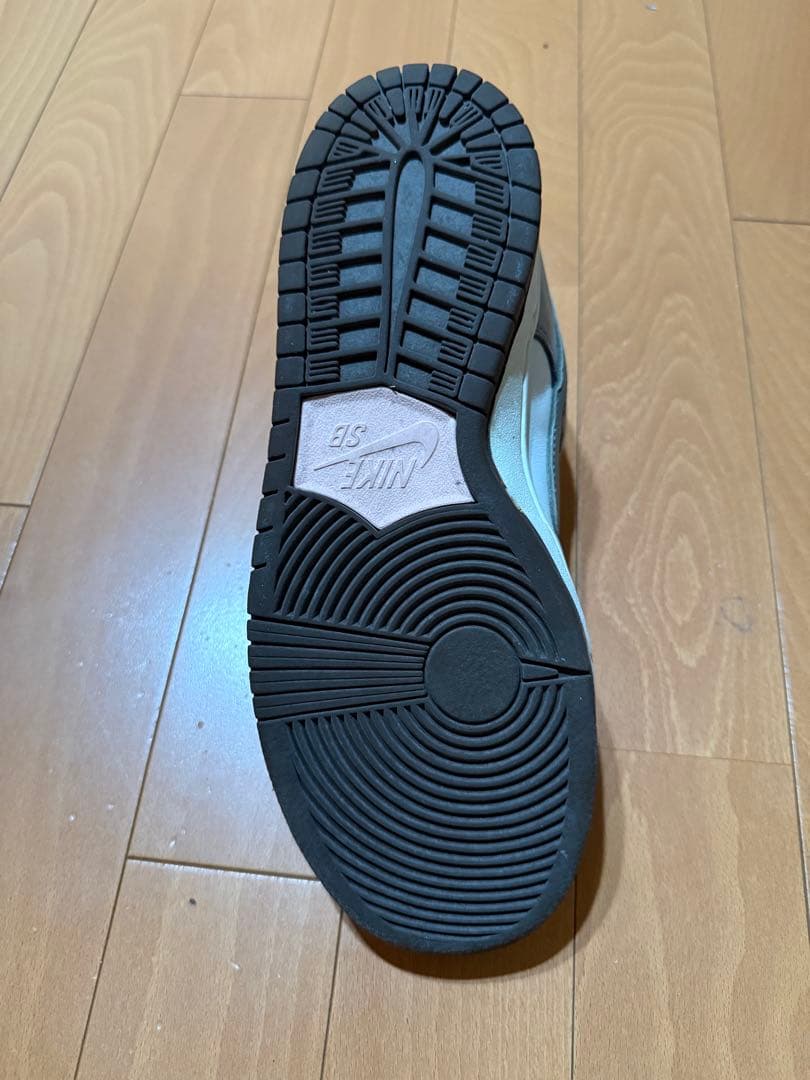 Nike スニーカー 堀米ダンク