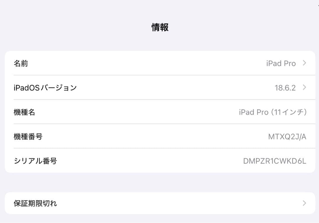 C*i様 【10/26まで】iPad Pro 11インチ 256GB
