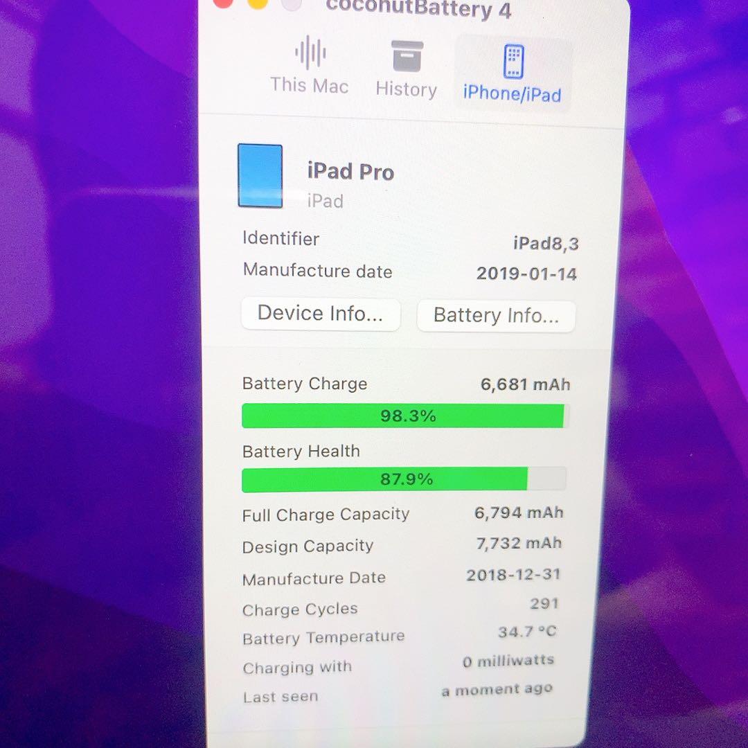 即日発送iPad Pro【256GB】とApple Pencil2のセット